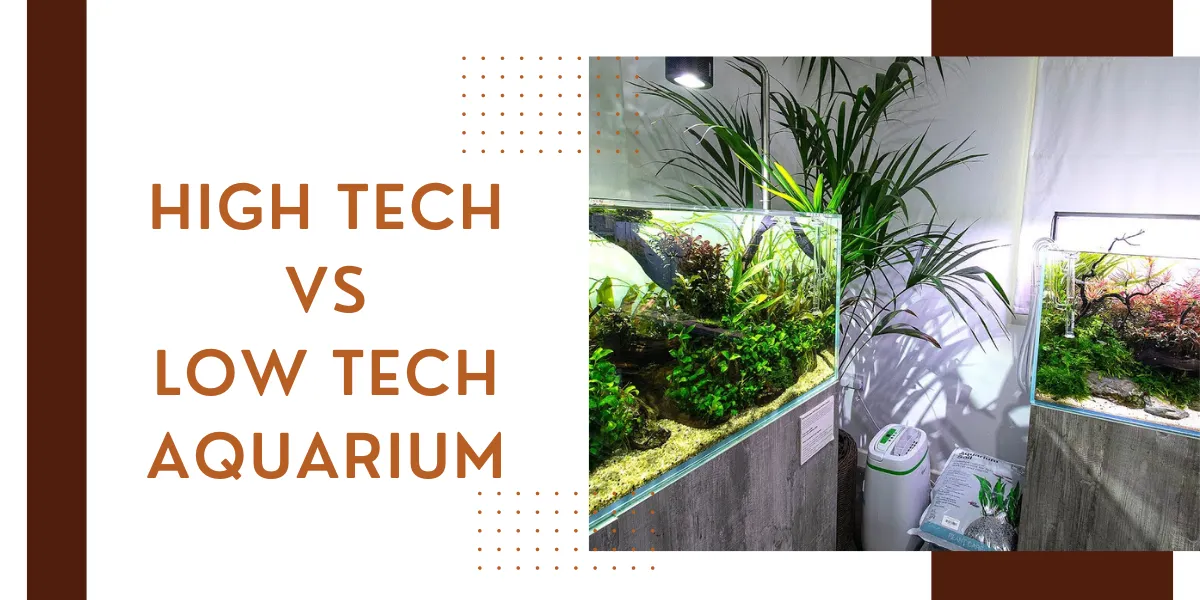 high tech vs low tech aquarium