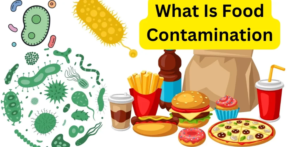 what is food contamination