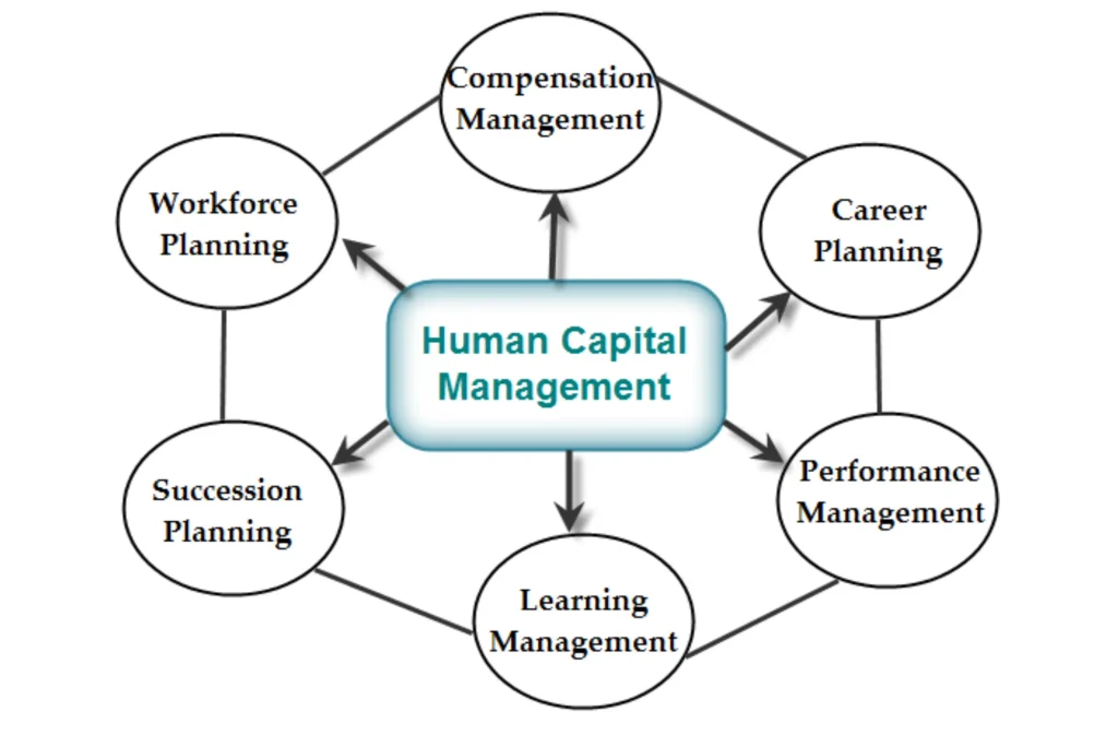 What Exactly is Human Capital Management Software