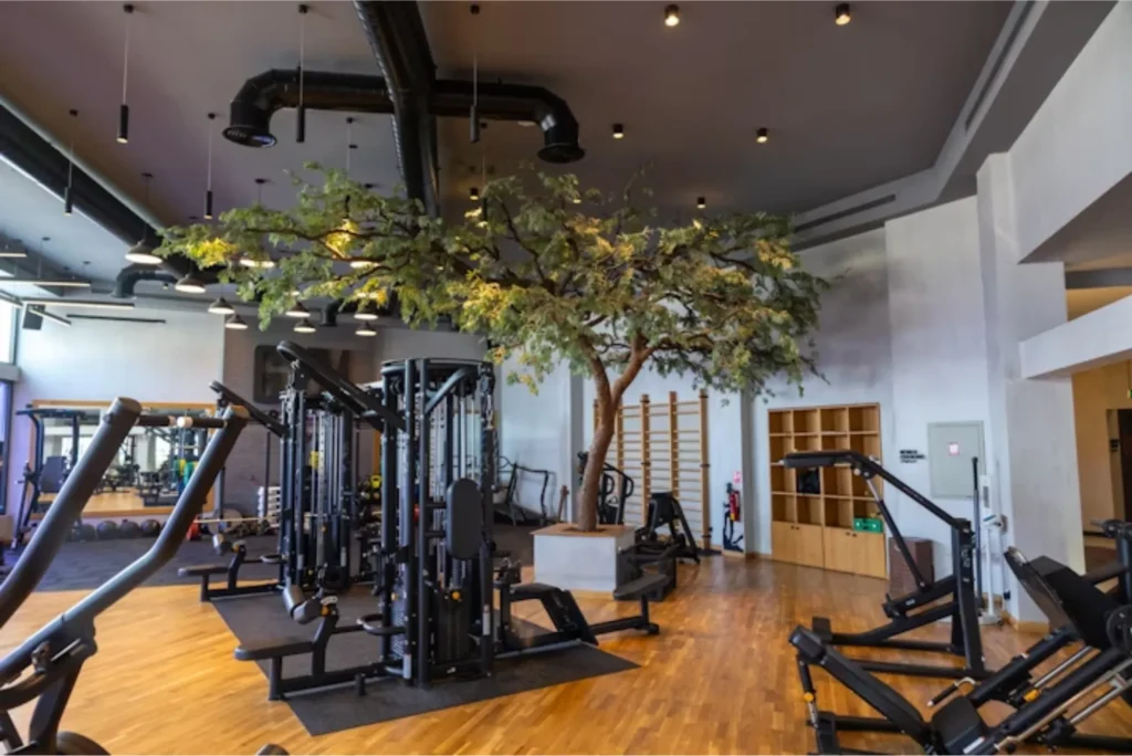 Gym Abu Dhabi Has You Covered